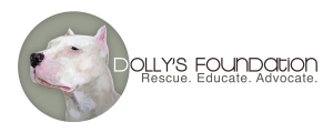 Dolly's Foundation
